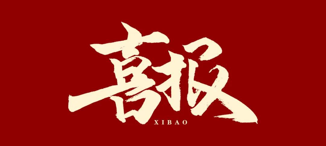 喜報(bào) | 諾力車庫榮登2024年度醫(yī)院機(jī)械停車庫知名品牌榜單！
